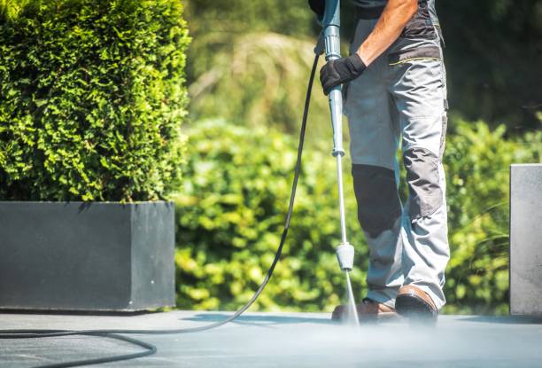 Animal Enclosure Cleaning in Oceano, CA
